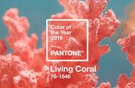2019年最热门的宝石：活色珊瑚与蛋白石的魅力之旅